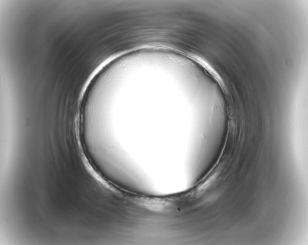 X0000084551100200703161642