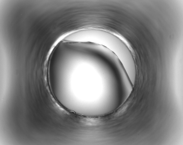 X0000084551102200703161642