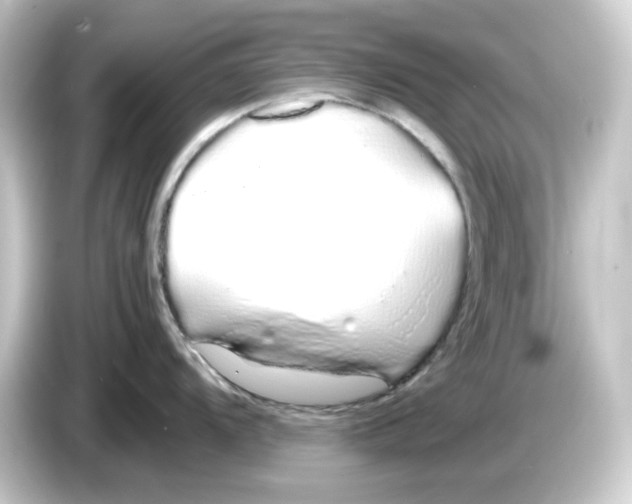 X0000084551104200703161642