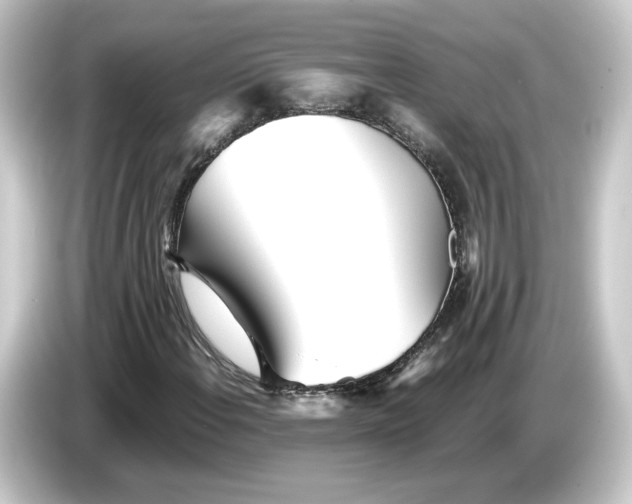 X0000084551108200703161641