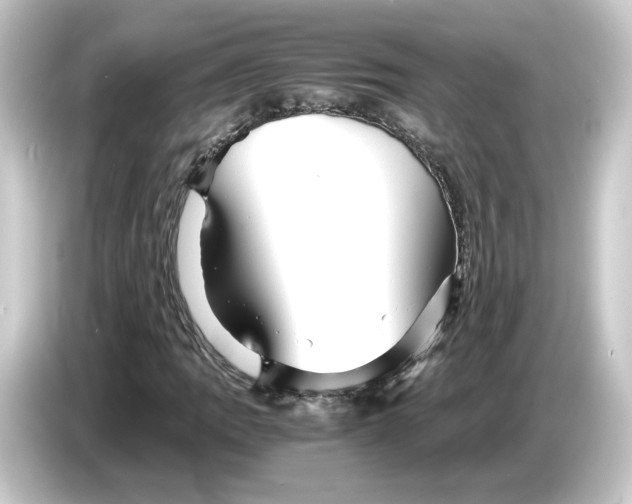 X0000084551109200703161641