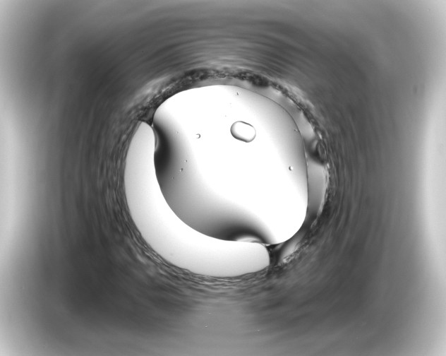 X0000084551110200703161641