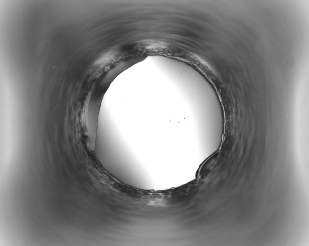 X0000084551111200703161641