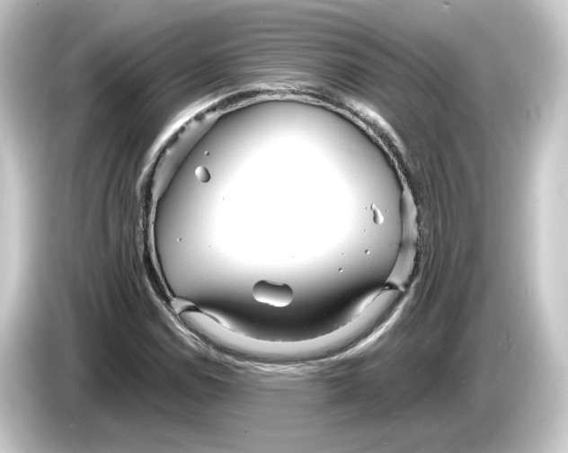 X0000084551114200703161641