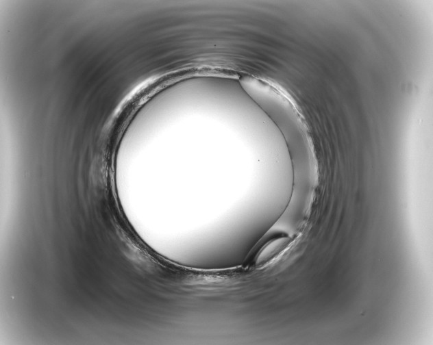 X0000084551115200703161641