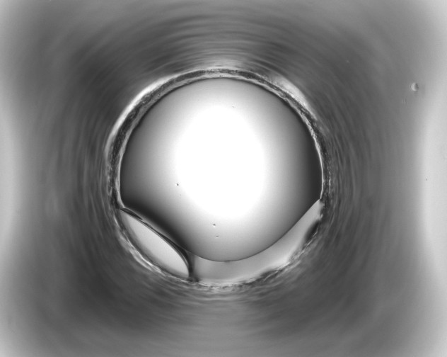 X0000084551116200703161641