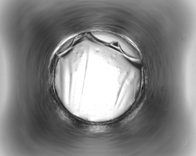 X0000084551117200703161641