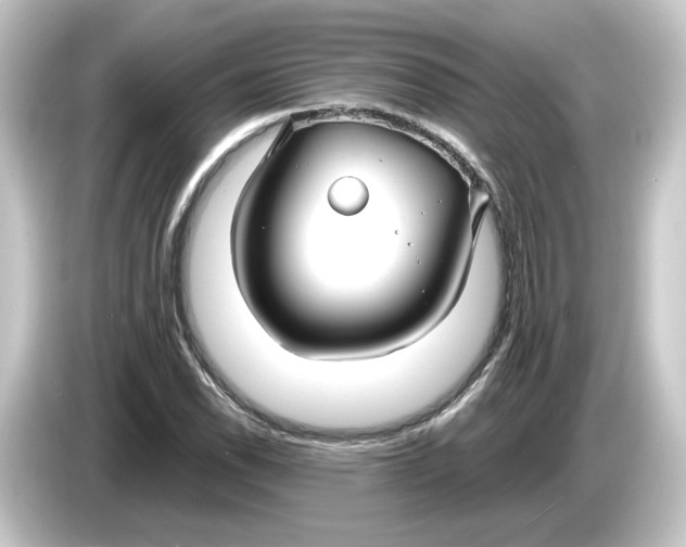 X0000084551118200703161641