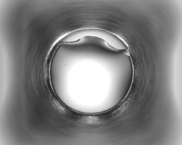 X0000084551119200703161641