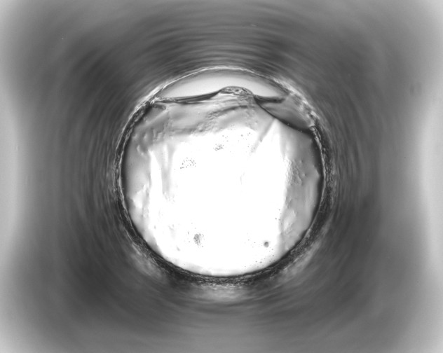 X0000084551121200703161641