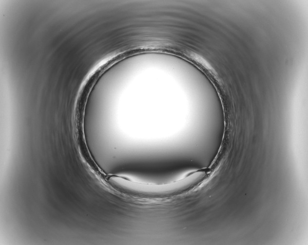 X0000084551122200703161641