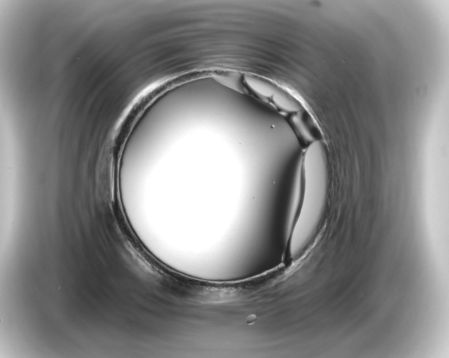 X0000084551123200703161641