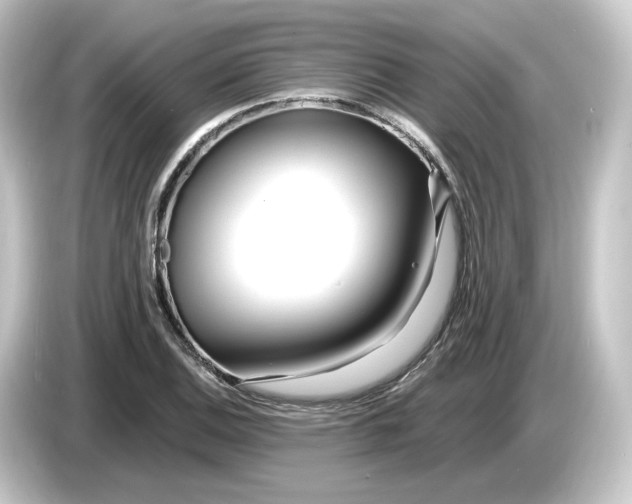 X0000084551124200703161642