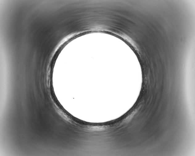 X0000084551126200703161642