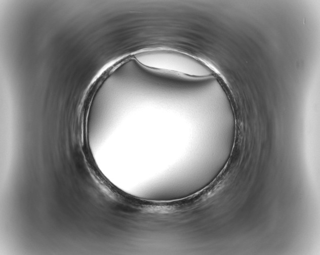 X0000084551127200703161642