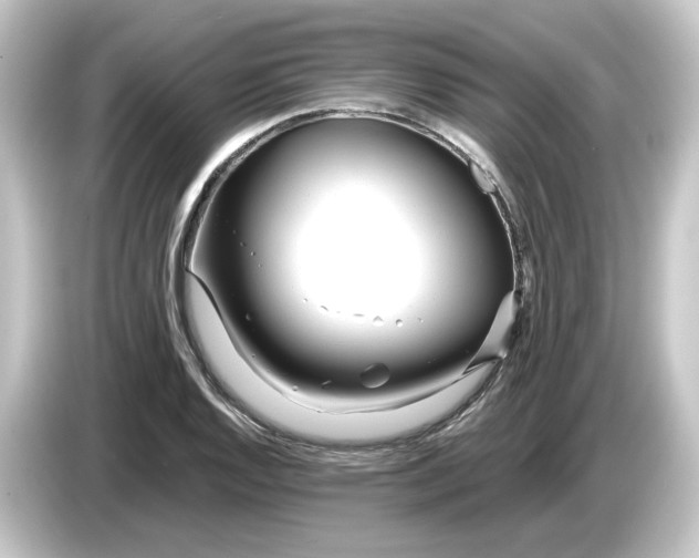 X0000084551128200703161642