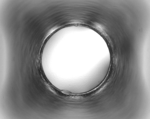 X0000084551129200703161642