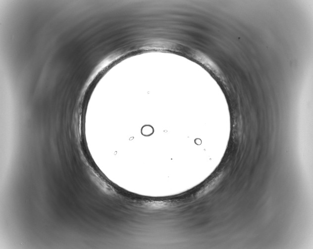 X0000084551130200703161642