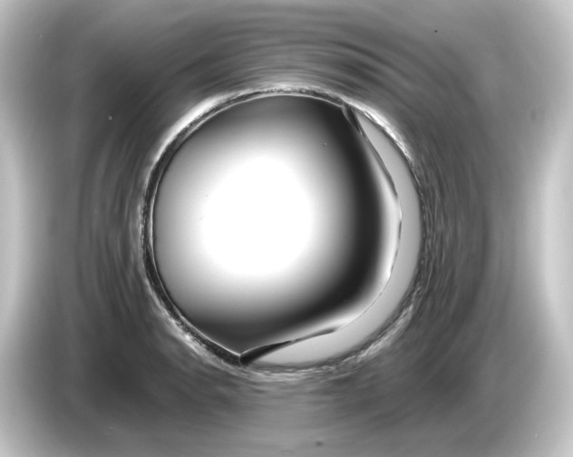 X0000084551134200703161642