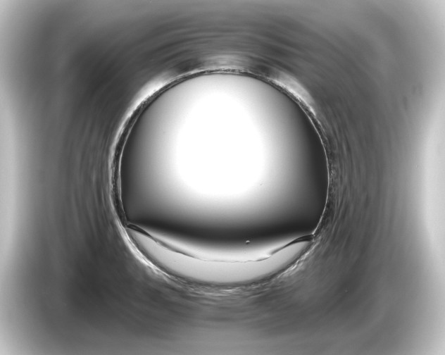 X0000084551135200703161642