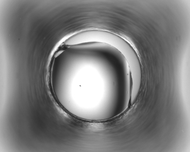 X0000084551136200703161642