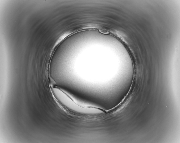 X0000084551137200703161642