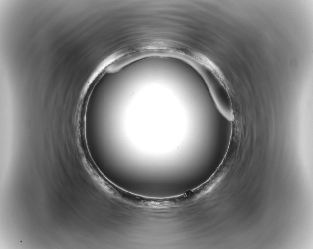 X0000084551138200703161642