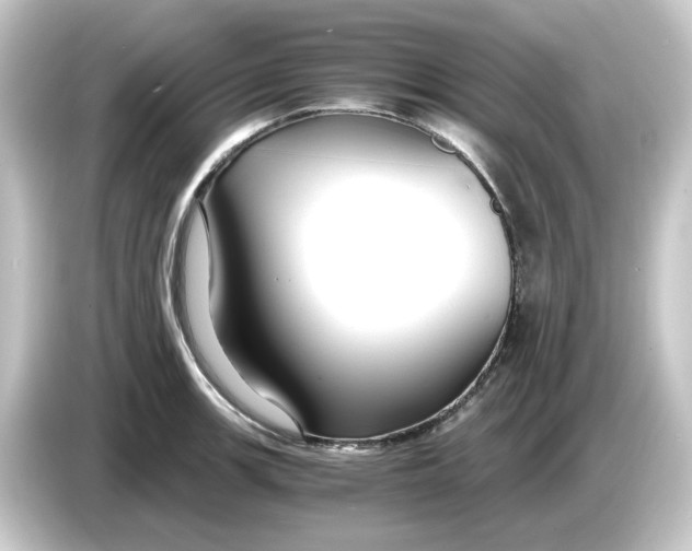 X0000084551139200703161642