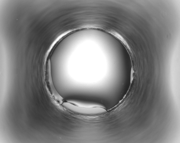 X0000084551140200703161642