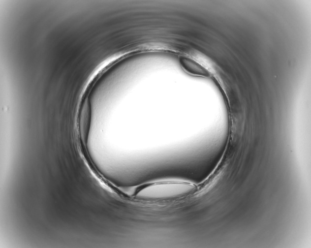 X0000084551141200703161642