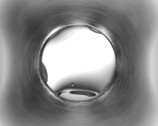 X0000084551142200703161642