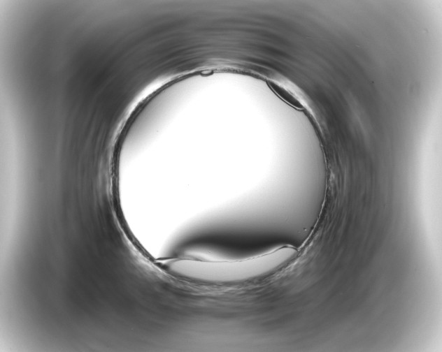 X0000084551143200703161642