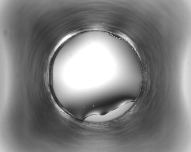 X0000084551147200703161642