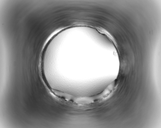 X0000084551149200703161642