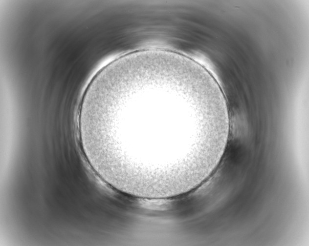 X0000084551150200703161642