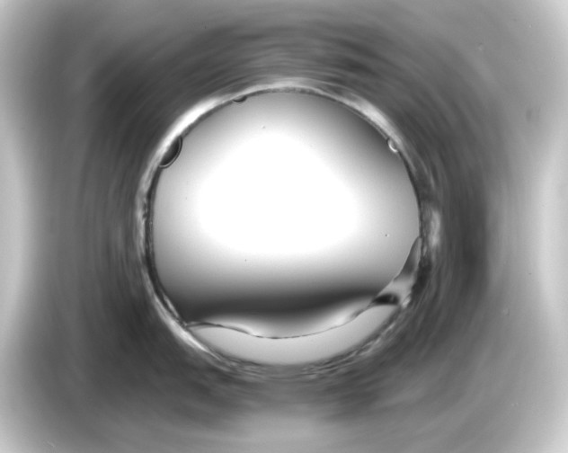 X0000084551151200703161642