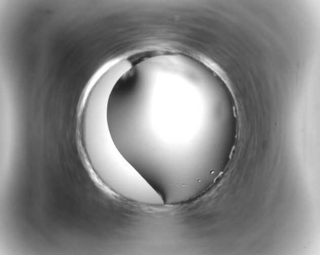 X0000084551152200703161642