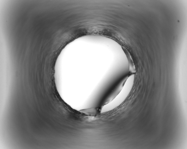 X0000084551153200703161641