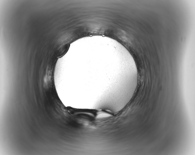 X0000084551154200703161641