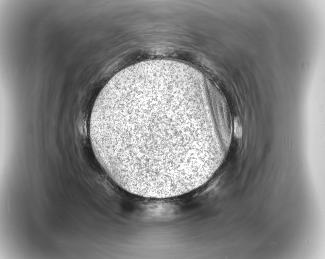 X0000084551155200703161641