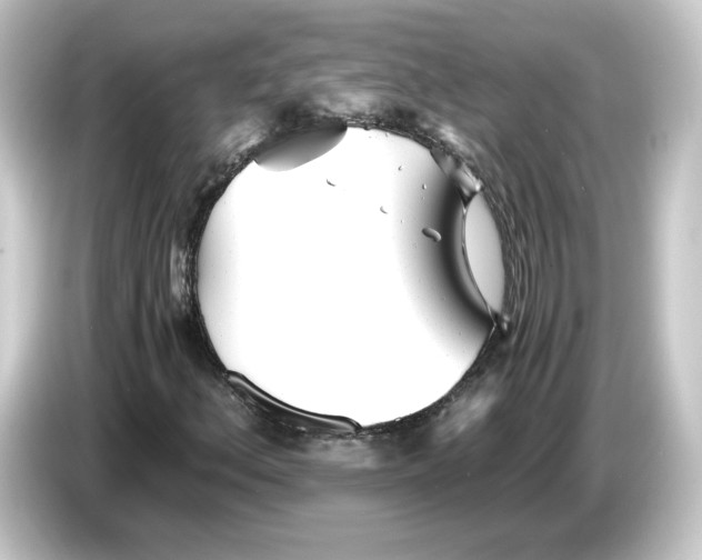 X0000084551156200703161641