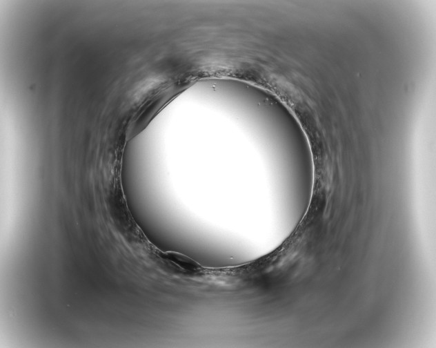 X0000084551157200703161641