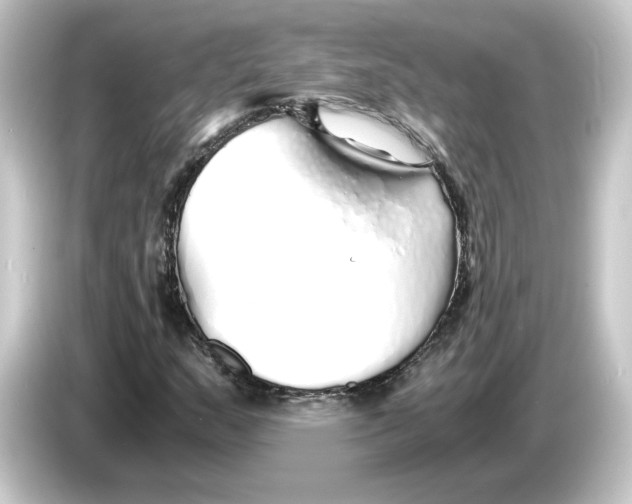 X0000084551159200703161641