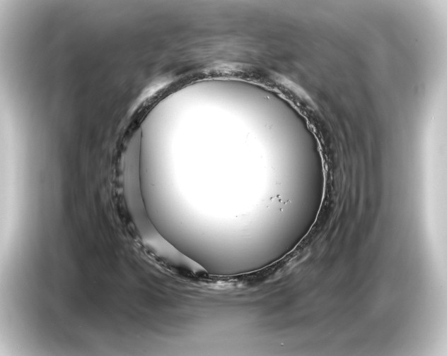 X0000084551160200703161641