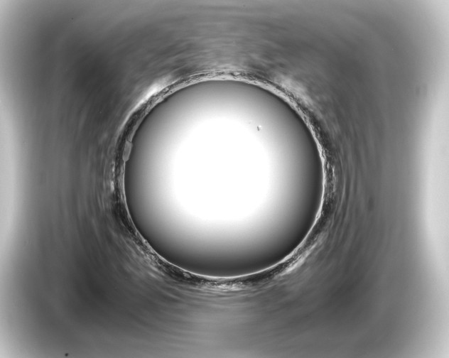 X0000084551165200703161641