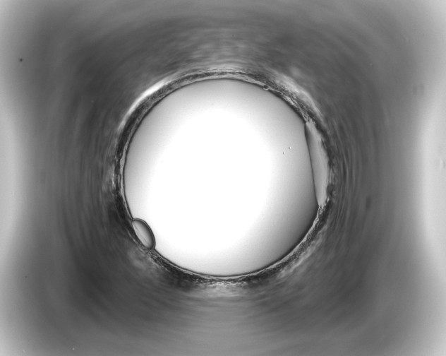 X0000084551166200703161641