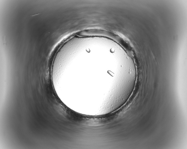 X0000084551167200703161641