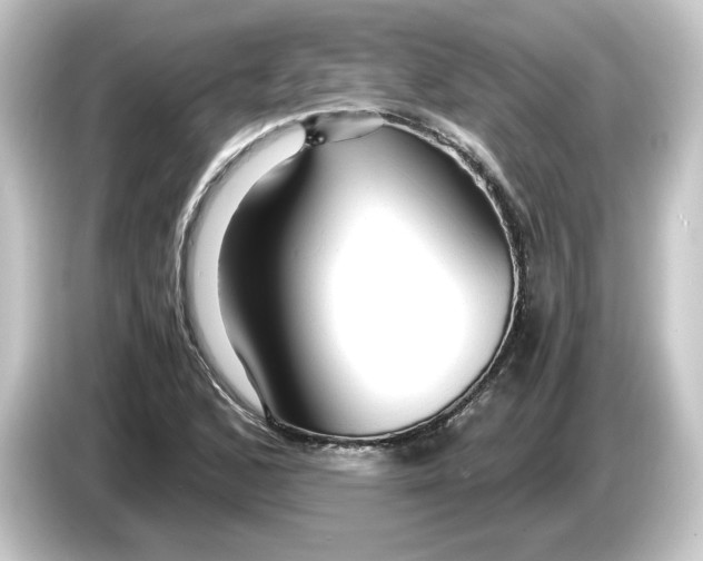 X0000084551168200703161641