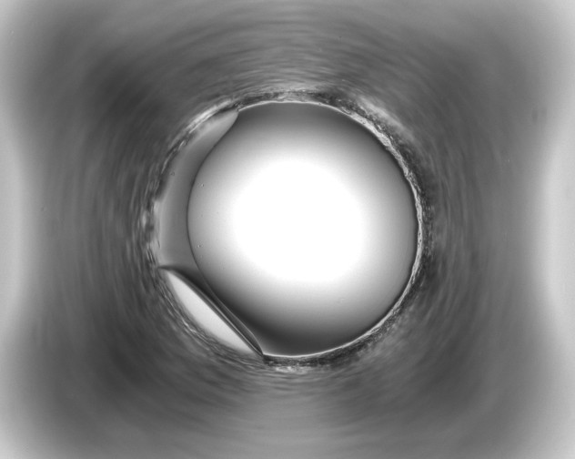 X0000084551169200703161641