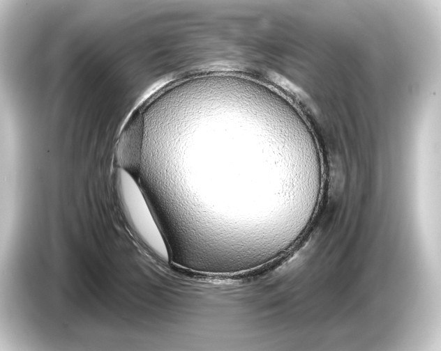 X0000084551170200703161641